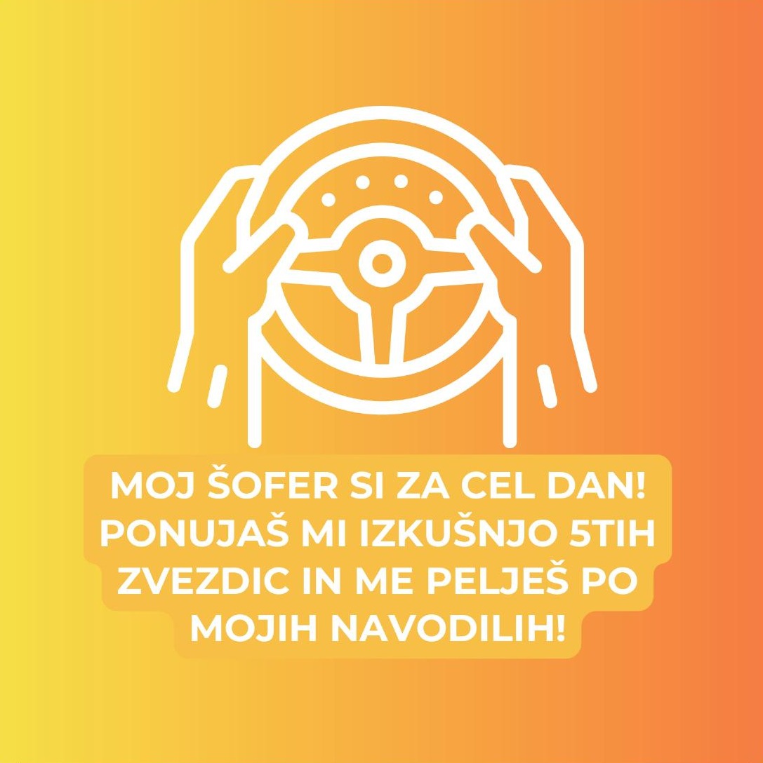 Karta: Moj šofer si za cel dan